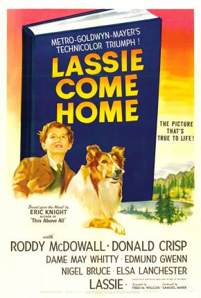 Lassie - A Força do Coração Download Mais Baixado