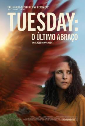 Tuesday - O Último Abraço - CAM - Legendado e Dublado Não Oficial Download Mais Baixado