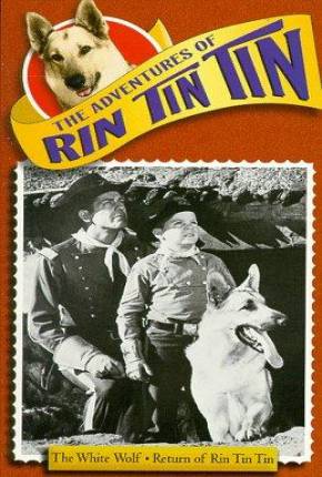 As Aventuras de Rin Tin Tin - 1ª Temporada Download Mais Baixado