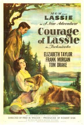 A Coragem de Lassie / Courage of Lassie Download Mais Baixado