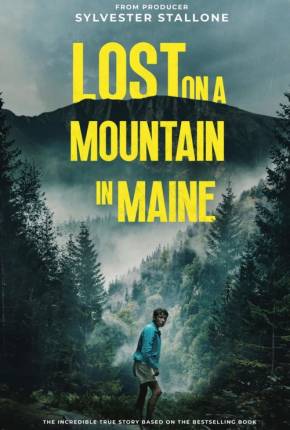 Lost on a Mountain in Maine - CAM - Legendado e Dublado Download Mais Baixado